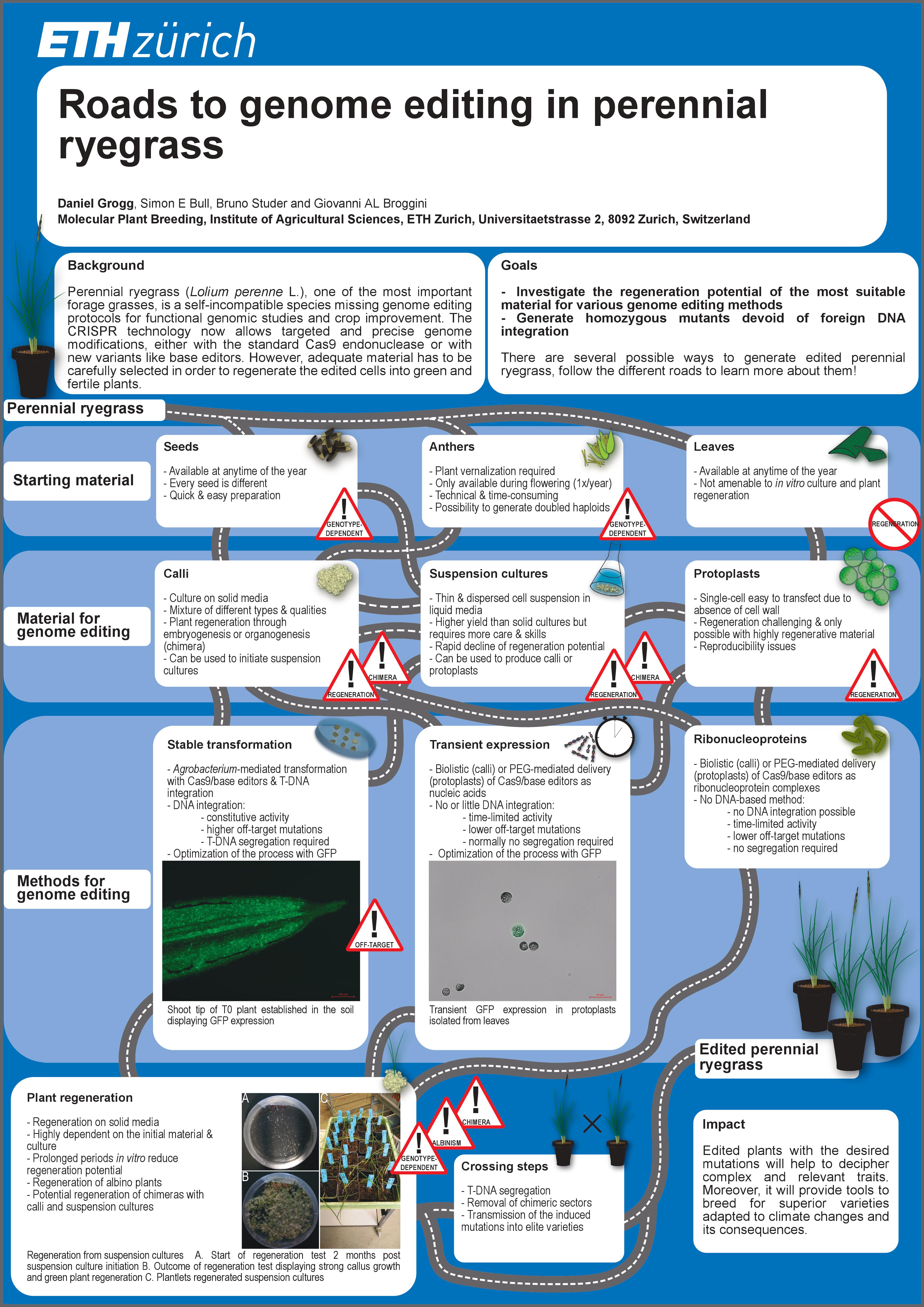 molecular plant breeding eth