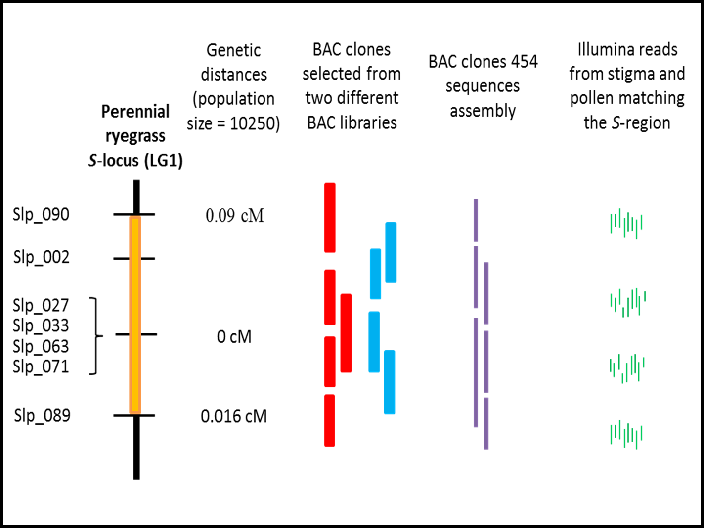 Enlarged view: Gene discovery apporach